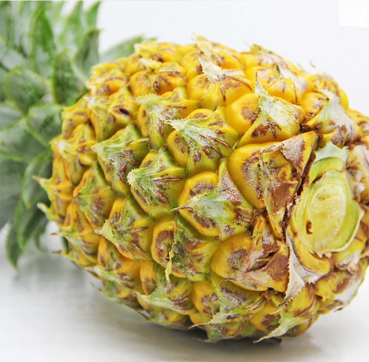 ɭƽƷ-ƺùԌbca(chn)ƷԔ