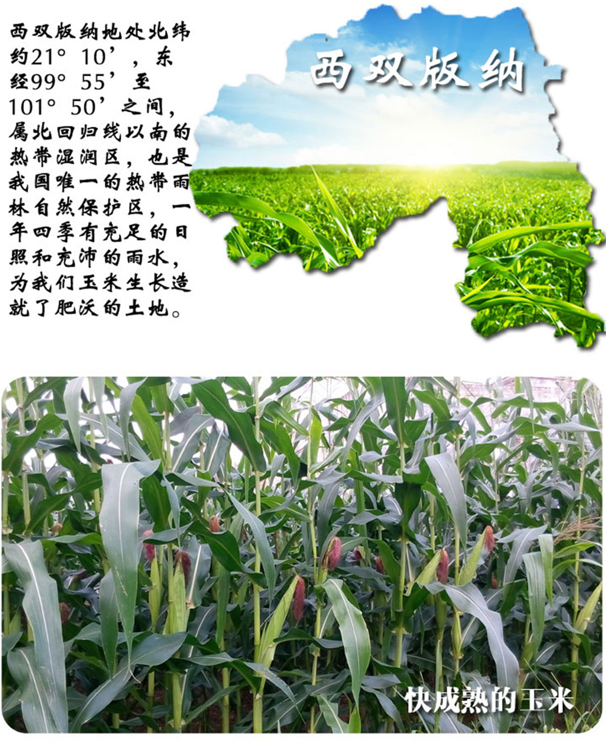 ɭƽƷ-ƺùԌbca(chn)ƷԔ