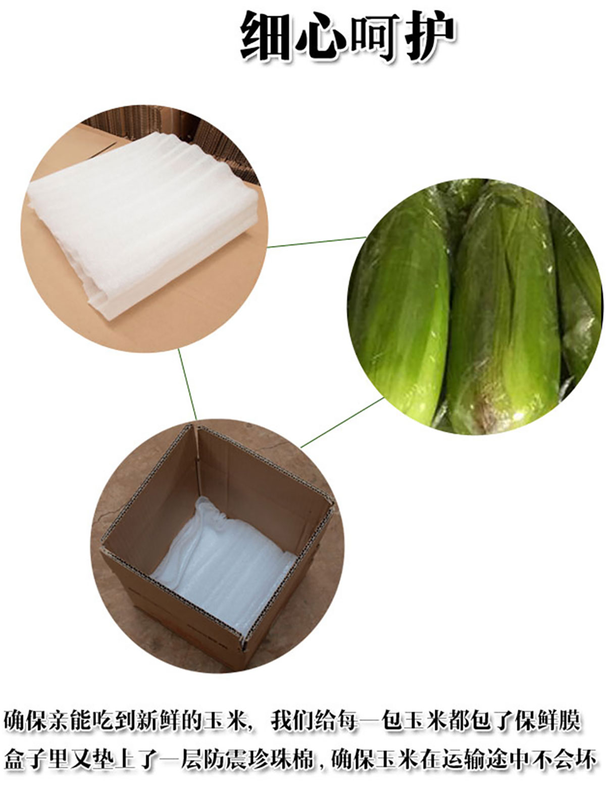 ɭƽƷ-ƺùԌbca(chn)ƷԔ